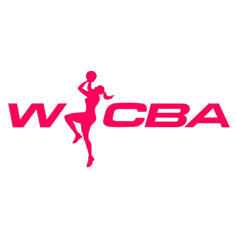 《WCBA 东莞新彤盛vs石家庄英励20250211》全集高清完整版在线观看与剧情解析