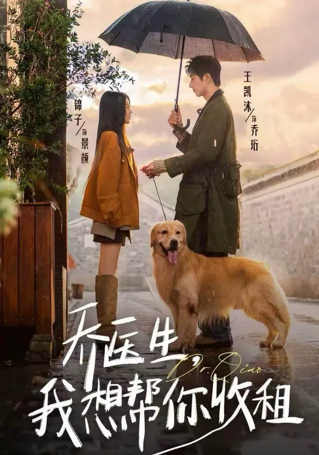 《乔医生，我想帮你收租》全集高清完整版在线观看与剧情解析