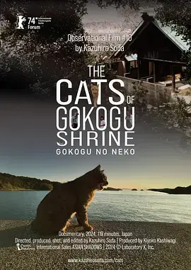 《五香宫的猫》全集高清完整版在线观看与剧情解析