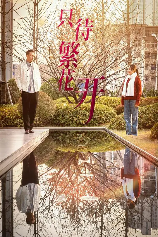 《只待繁花开》全集高清完整版在线观看与剧情解析