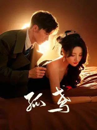 《孤鸢》全集高清完整版在线观看与剧情解析