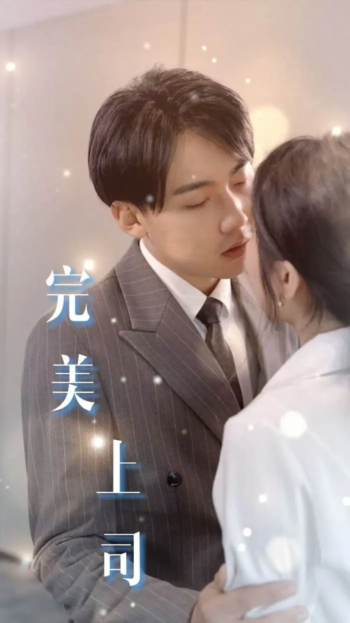 《完美上司》全集高清完整版在线观看与剧情解析