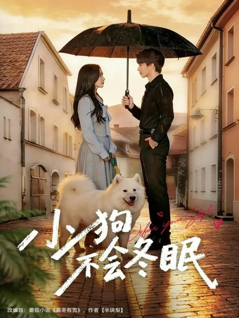 《小狗不会冬眠》全集高清完整版在线观看与剧情解析