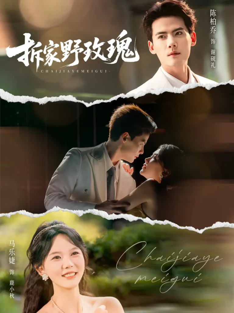 《拆家野玫瑰》全集高清完整版在线观看与剧情解析