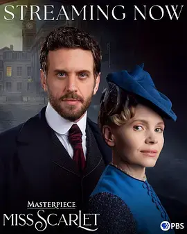 《斯嘉丽小姐探案集第六季》全集高清完整版在线观看与剧情解析