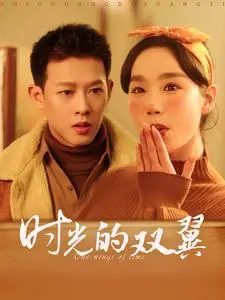 《时光的双翼》全集高清完整版在线观看与剧情解析
