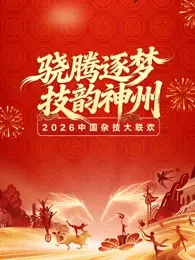 《河南卫视2026中国杂技大联欢》全集高清完整版在线观看与剧情解析