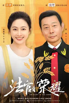 《法官的荣耀》全集高清完整版在线观看与剧情解析