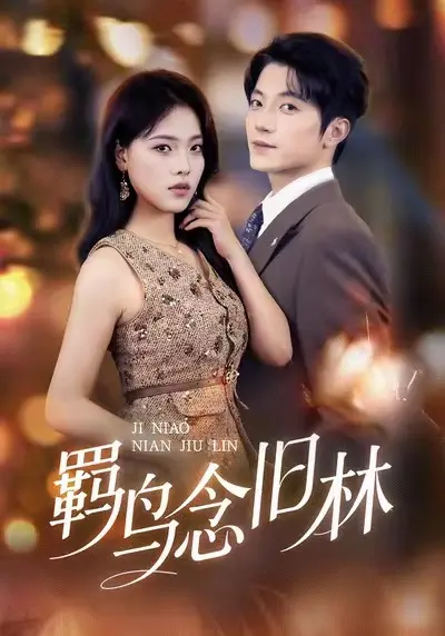 《羁鸟念旧林》全集高清完整版在线观看与剧情解析