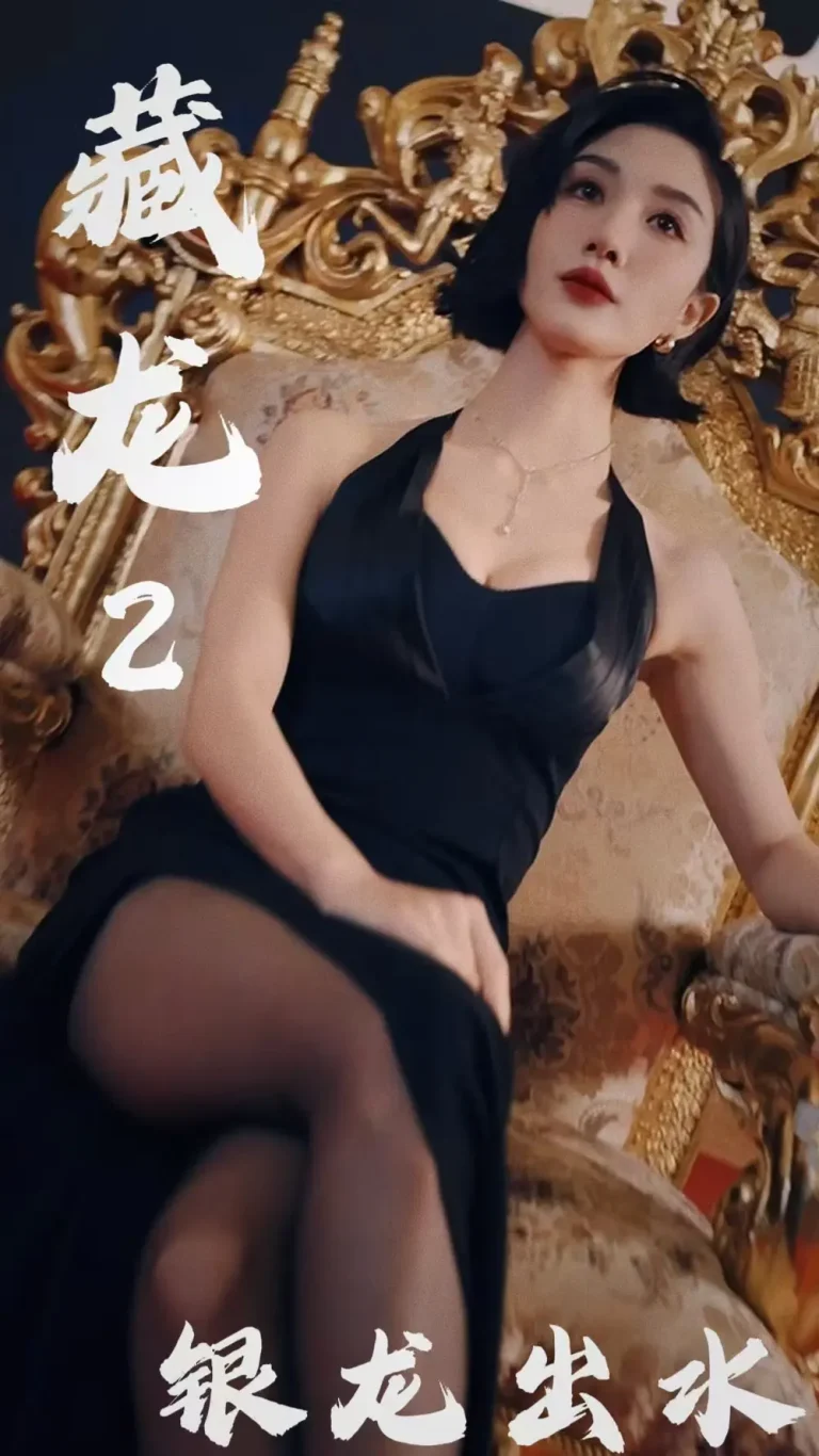 《藏龙2银龙出水》全集高清完整版在线观看与剧情解析