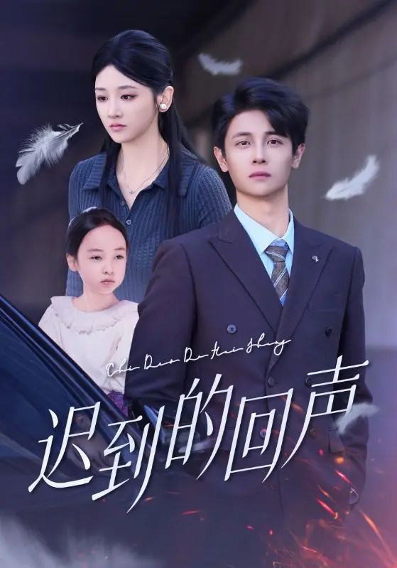 《迟到的回声》全集高清完整版在线观看与剧情解析