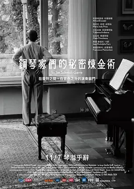 《钢琴家们的秘密炼金术》全集高清完整版在线观看与剧情解析