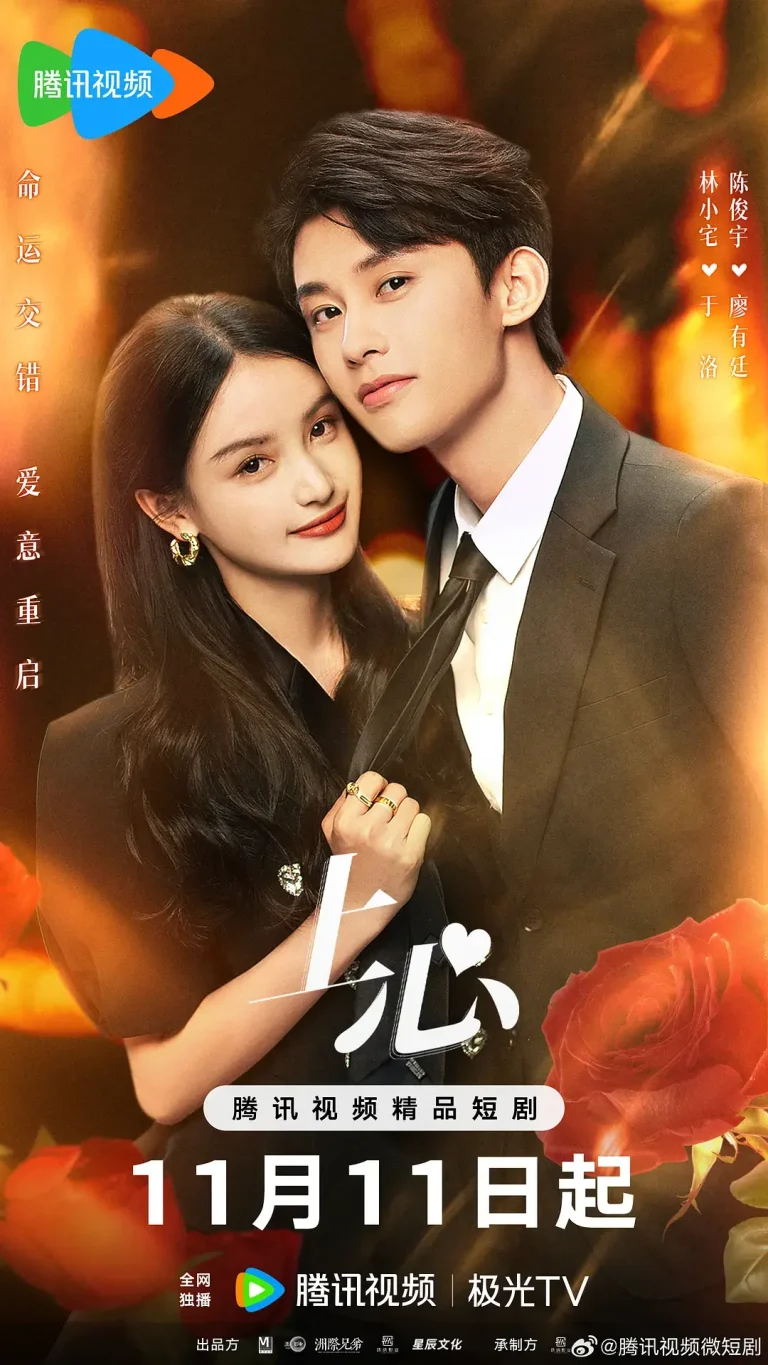 《上心》全集高清完整版在线观看与剧情解析